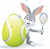 Sports paques carte de voeux mignon lapin avec oeuf et tennis raquette de tennis vector illustration rb51xx 1